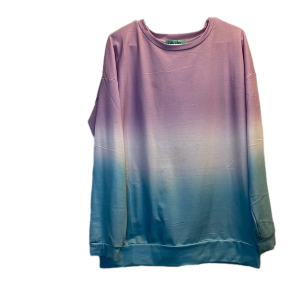 Filly Flair Purple & Blue Sweatshirt Size Medium